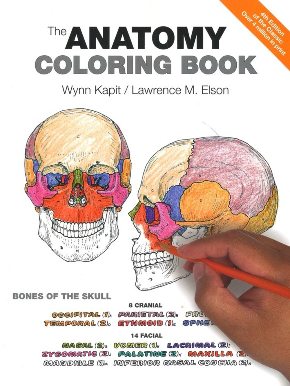 The Anatomy Coloring Book (4th Edition).